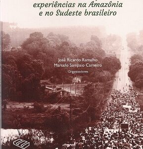 Ações coletivas em complexos mínero-metalúrgicos: experiências na Amazônia e no sudeste brasileiro