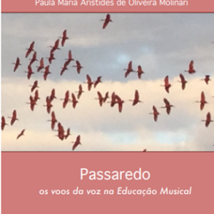 Passaredo: os voos da voz na Educação Musical