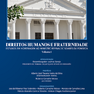 Direitos humanos e fraternidade: estudos em homenagem ao ministro Reynaldo Soares da Fonseca