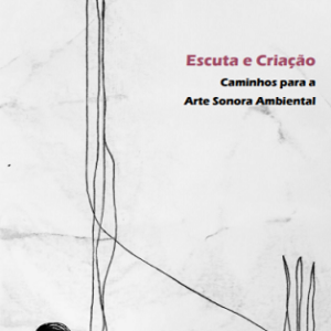 Escuta e criação: caminhos para a arte sonora ambiental
