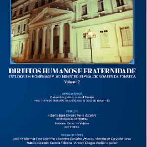 Direitos humanos e fraternidade: estudos em homenagem ao ministro Reynaldo Soares da Fonseca