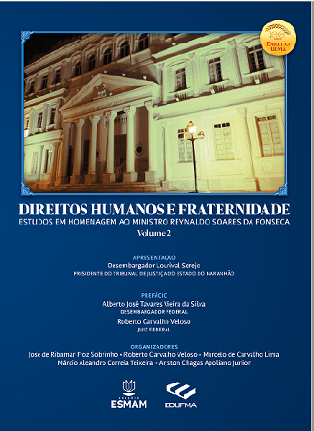Direitos humanos e fraternidade: estudos em homenagem ao ministro Reynaldo Soares da Fonseca