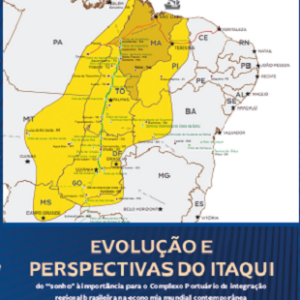 Evolução e perspectivas do Itaqui : do “sonho” à importância para o Complexo Portuário de integração regional brasileira na economia mundial contemporânea
