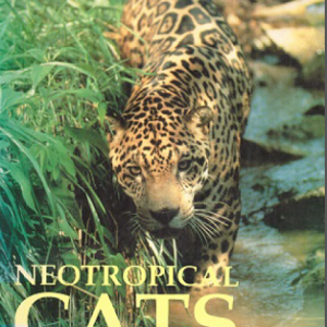 Neotropical Cats: Ecology and Conservation