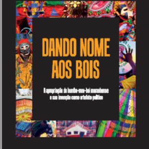 Dando nome aos bois:a apropriação do Bumba-meu-boi maranhense e sua invenção como artefato político