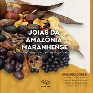 Joias da Amazônia maranhense: da natureza ao artesanato