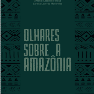 Olhares sobre a Amazônia