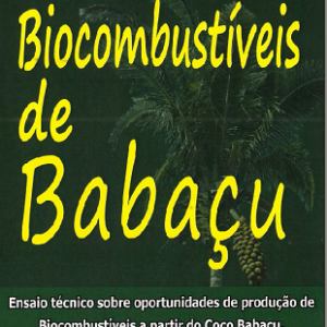 Biocombustiveis de Babaçu:Ensaio técnico sobre oportunidades de produção de biocombústiveis a partir do coco babaçu