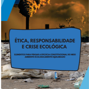 Ética, responsabilidade e crise ecológica: elementos para pensar a eficácia constitucional do meio ambiente ecologicamente equilibrado