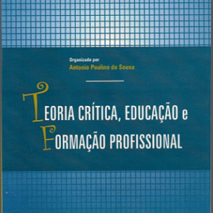 Teoria crítica, educação e formação profissional