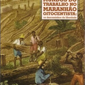 Mundos do trabalho no Maranhão oitocentista: os descaminhos da liberdade
