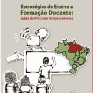 Estratégia de ensino e formação docente  :ações do PIBID em tempos remotos
