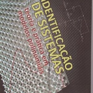 Identificação de sistemas: teoria e prática em modelos polinomiais