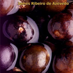 Sistema de manejo de açaizais nativos praticado por ribeirinhos