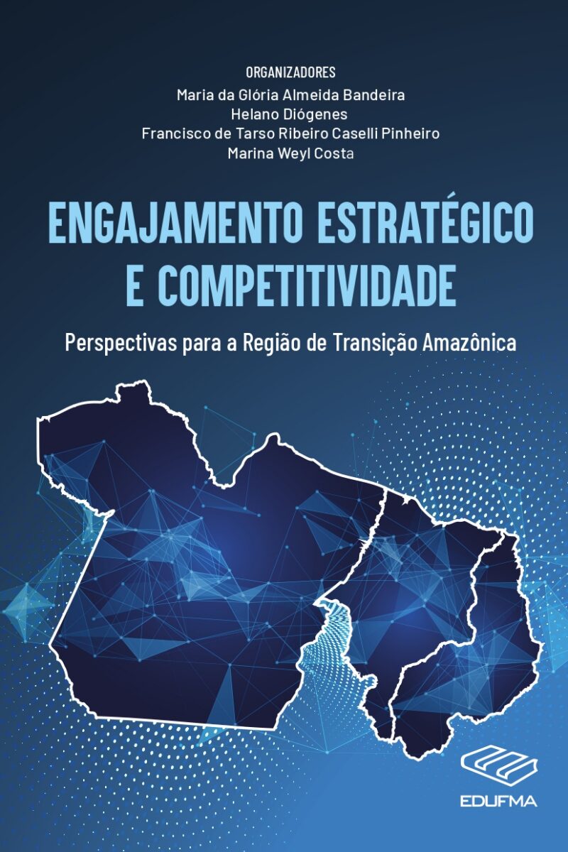 Engajamento estratégico e competitividade : perspectivas para a região de transição amazônica
